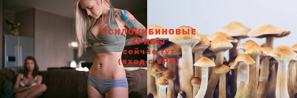 индика Верхнеуральск