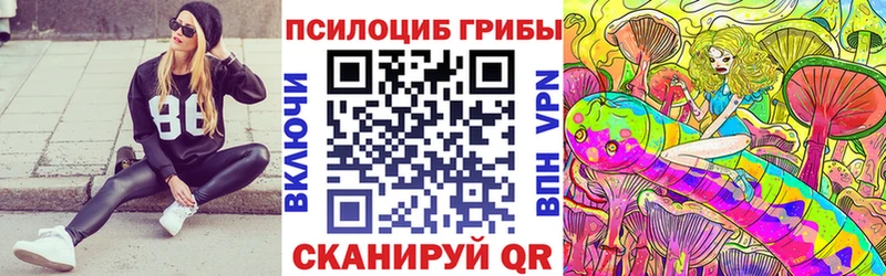 Купить где  Тавда  Галлюциногенные грибы Psilocybine cubensis 