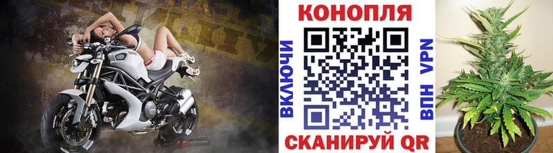 Купить закладки  Тавда  Бошки Шишки AK-47 